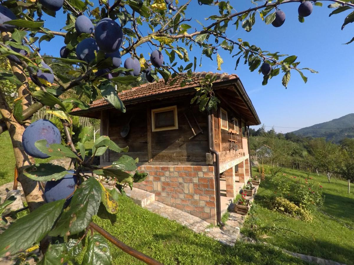 Ethno Village Bogut Bogutovac エクステリア 写真