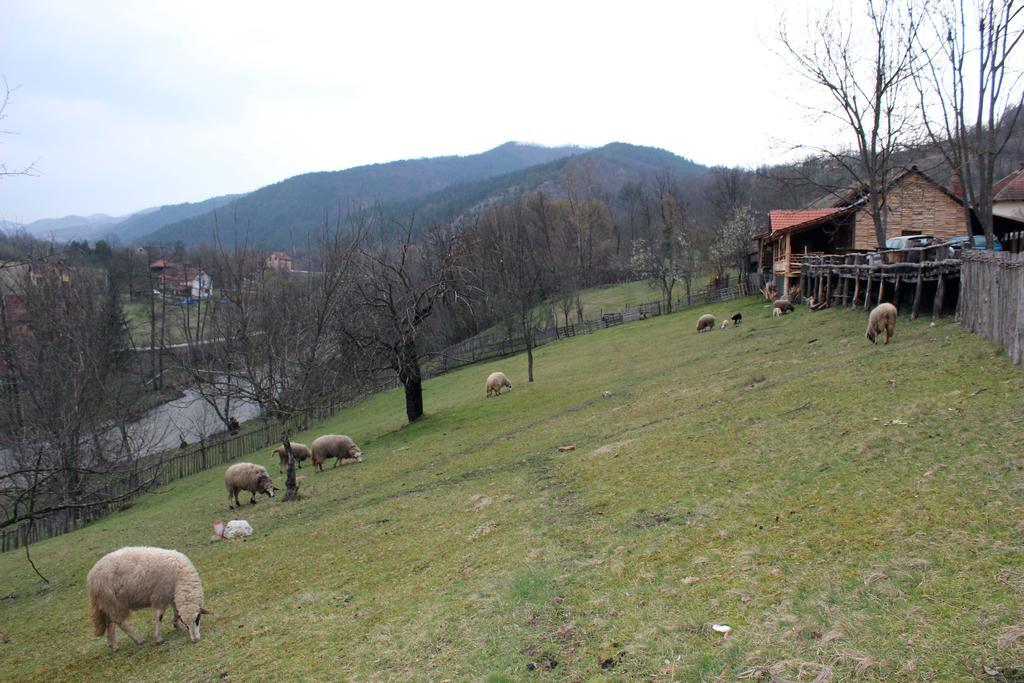 Ethno Village Bogut Bogutovac エクステリア 写真